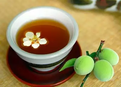 冰梅子茶｜Ice plum tea｜氷 梅茶｜얼음 매실차